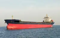 Bulk carrier for sale