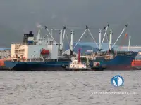 Reefer ship for sale