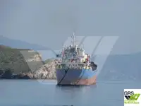 Bulk carrier for sale