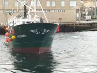 Fishing Trawler for sale