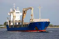 Bulk carrier for sale